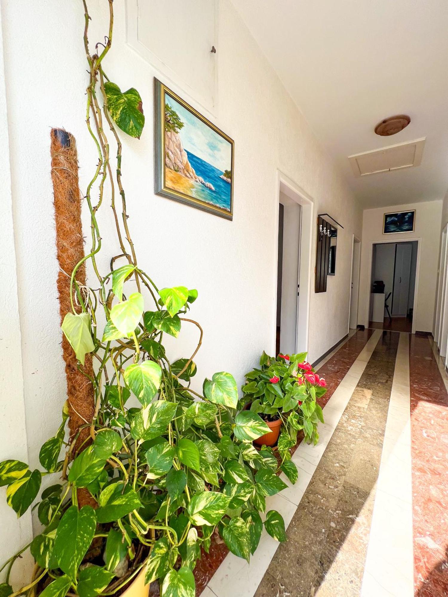 Apartment Bava Dubrovnik Exteriör bild